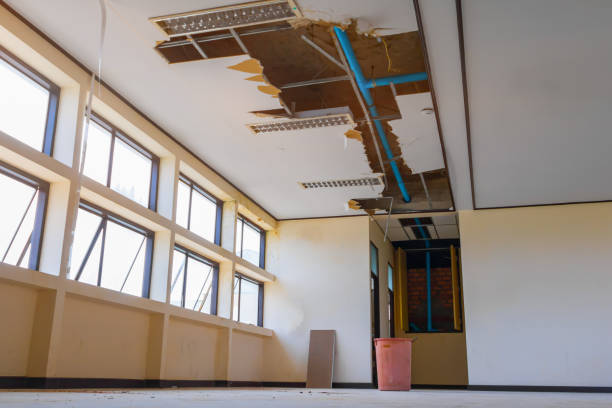 Best Sewage cleanup and water damage restoration  in St Petersburg, FL