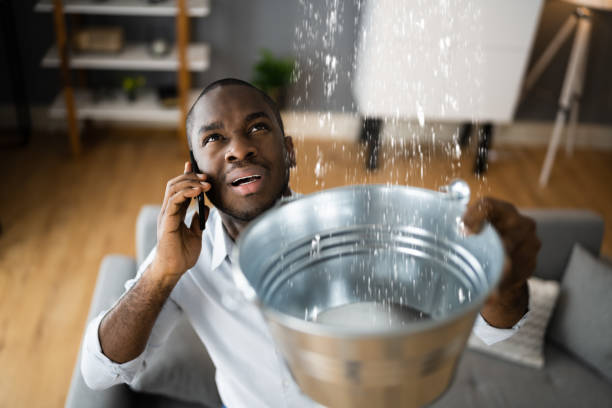 Best Flooded house restoration  in St Petersburg, FL