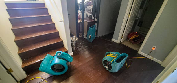 Best Professional water damage repair  in St Petersburg, FL