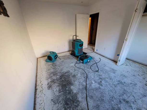 Best Residential water damage restoration  in St Petersburg, FL