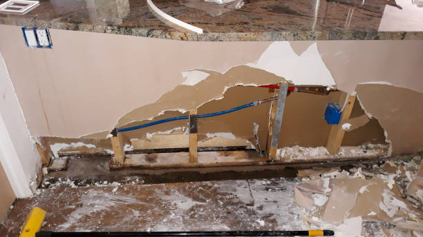 Best Water damage cleanup near me  in St Petersburg, FL