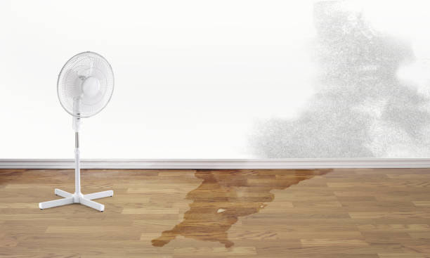 Best Emergency water damage restoration  in St Petersburg, FL