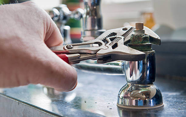 Best Mold removal after water damage  in St Petersburg, FL