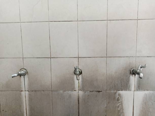Best 24-hour water damage restoration  in St Petersburg, FL