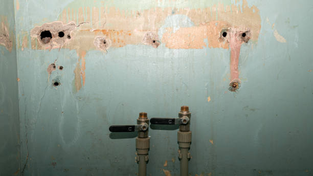 Best Flood damage cleanup  in St Petersburg, FL