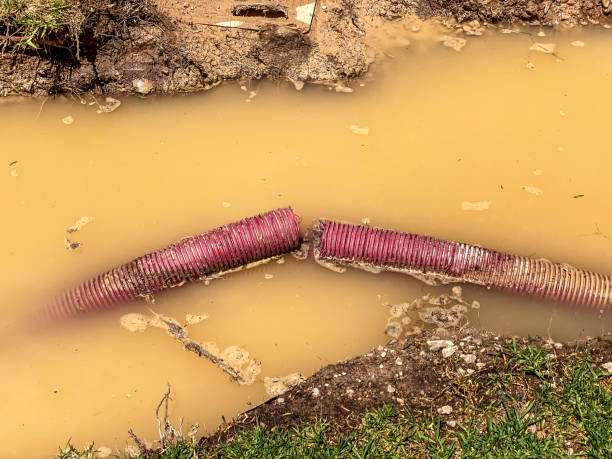  St Petersburg, FL Water damage restoration Pros