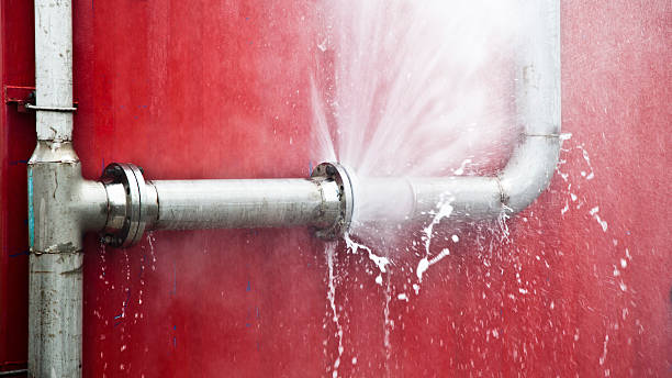 Best Water damage restoration near me  in St Petersburg, FL